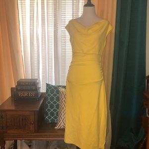 Office Dress/ special occasion